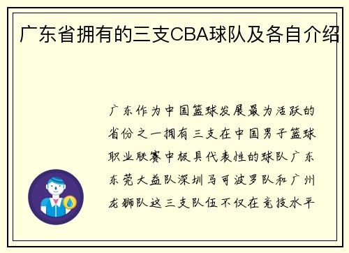 广东省拥有的三支CBA球队及各自介绍